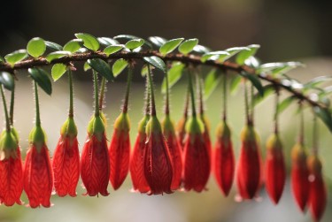 惠州博罗9私人快速借钱网，轻松解决资金难题