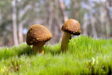 惠州博罗9私人老板放款：轻松融资的秘密通道